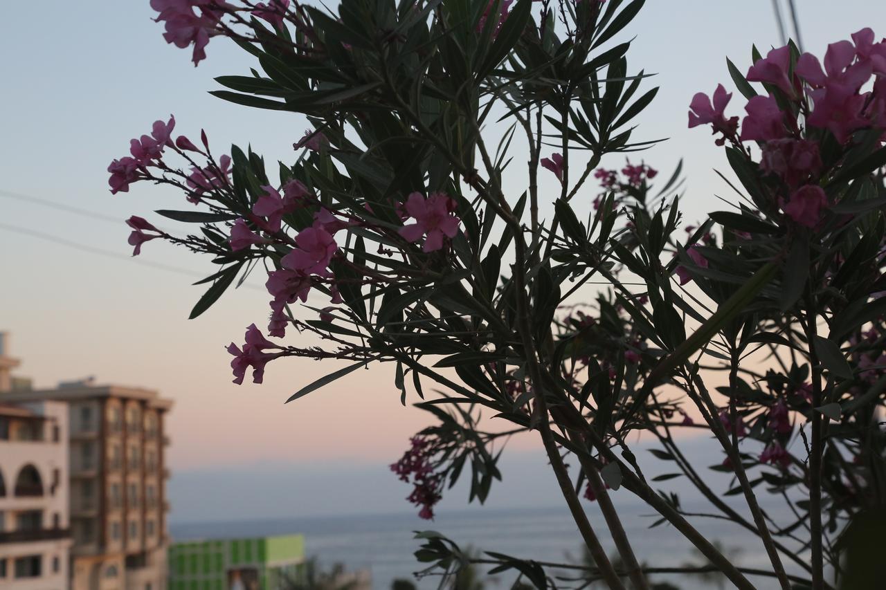 Kasgar Court Hotel Ayvaryara Buitenkant foto